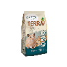 Terra Hamster