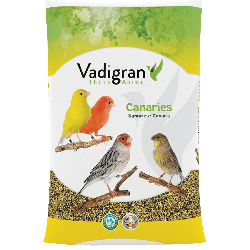 Canaris Posture & Show Vadigran