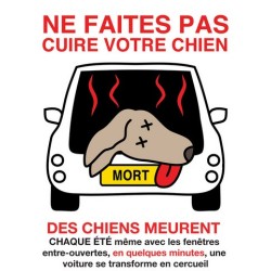 Boucle de sécurité pour ceinture de voiture  -TrueLove