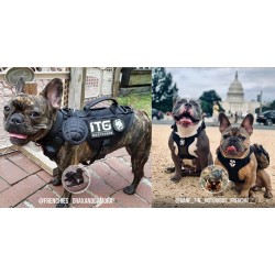 Harnais pour petit chien