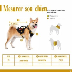 Harnais pour petit chien