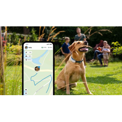 Traceur GPS Tractive pour chien