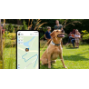 Traceur GPS Tractive pour chien