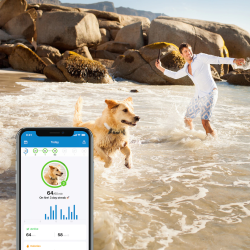 Traceur GPS Tractive pour chien
