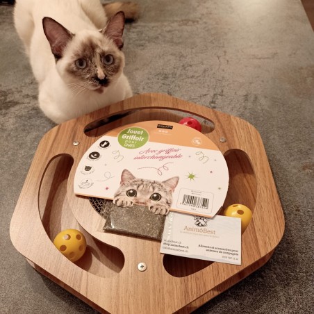 Hexagone de jeu en bois et griffoir