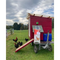 Aliment complet pour poules Golden Compact Miettes tamisées