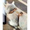 Harnais avec laisse pour chat TrueLove