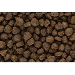 Iso-cat Adult Large Breeds rich in Chicken