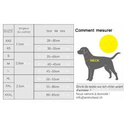 Location de collier pour chiens de moins de 11 mois