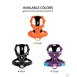 Harnais réfléchissant Truelove renforcé CORDURA