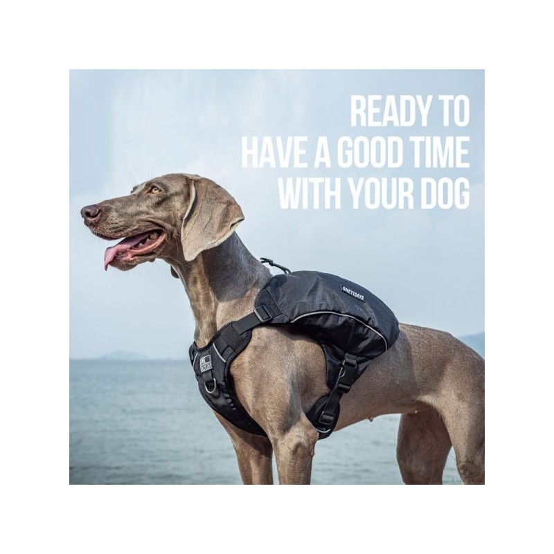 OneTigris CAMELUS Dog Pack