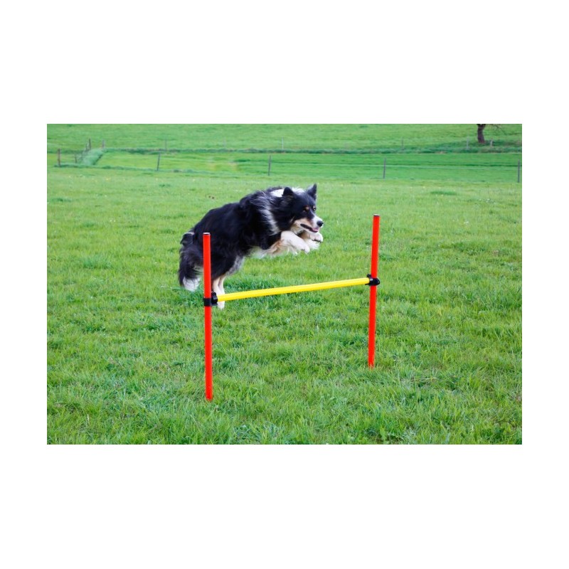 Kit complet Agility KERBL