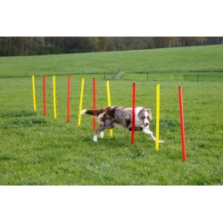 Kit complet Agility KERBL