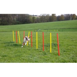 Kit complet Agility KERBL