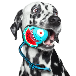 Snuggles Max & Molly