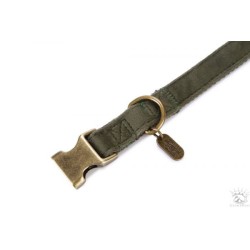 Designed by Lotte Collier pour chien - velours - vert - 35- 50cmx20mm