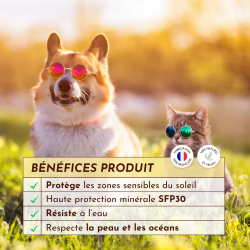 Crème solaire SPF30 Lézarderas-tu ? Dexter&Mango