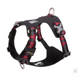 Harnais Truelove Colorado +