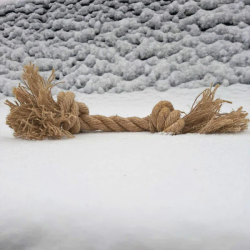 AninestEco - Le Nœud