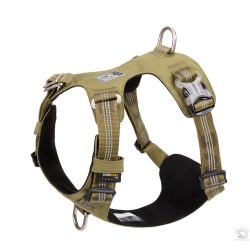 Harnais Truelove Colorado +