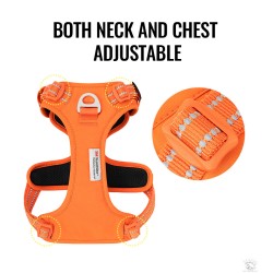 Harnais réfléchissant Truelove renforcé CORDURA