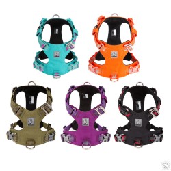 Harnais Truelove Colorado +