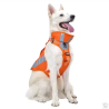 CHIP Safety Harness