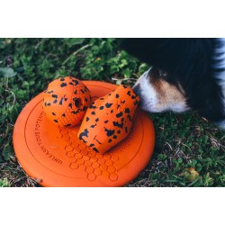 Non-stop Dog flying disc