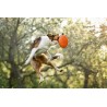 Non-stop Dog flying disc