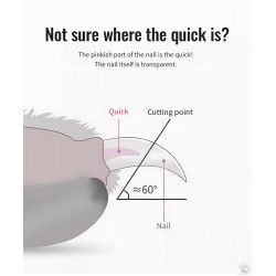 Coupe griffes 13x5cm en bambou pour chiens et chats Truelove