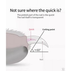 Coupe griffes 16.6x4.5cm en bambou pour Chien Truelove