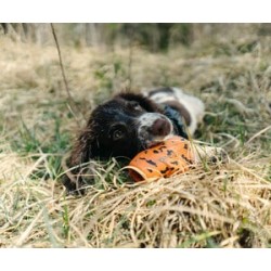 Non-stop Dog throw toy