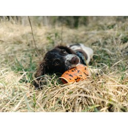 Non-stop Dog throw toy