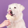 SMOOFL Glace à la banane pour chien