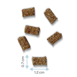 MARLY & DAN MINI Friandises Vitaboost aux fruits