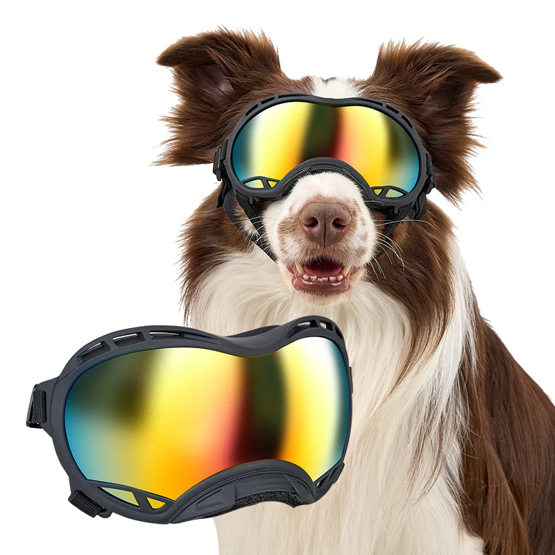 Lunettes de Soleil pour Chien ONETIGRIS