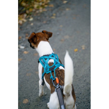 Non-stop dogwear Rush harness
