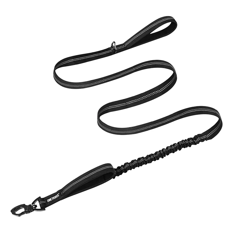 Laisse pour chien OneTigris