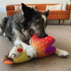 KONG Lamas balistiques Vibez