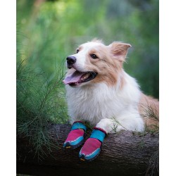Truelove Explorer dog boots