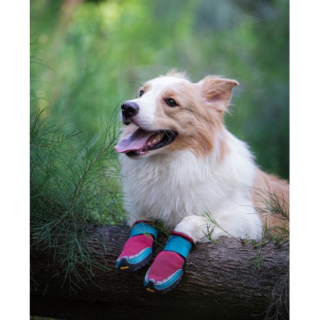 Truelove Explorer dog boots