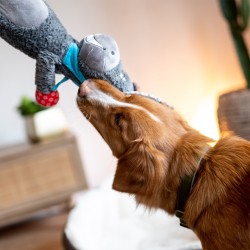 Âne en peluche multicolor