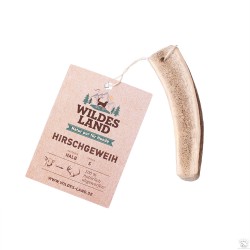 Bois de cerf coupé en deux