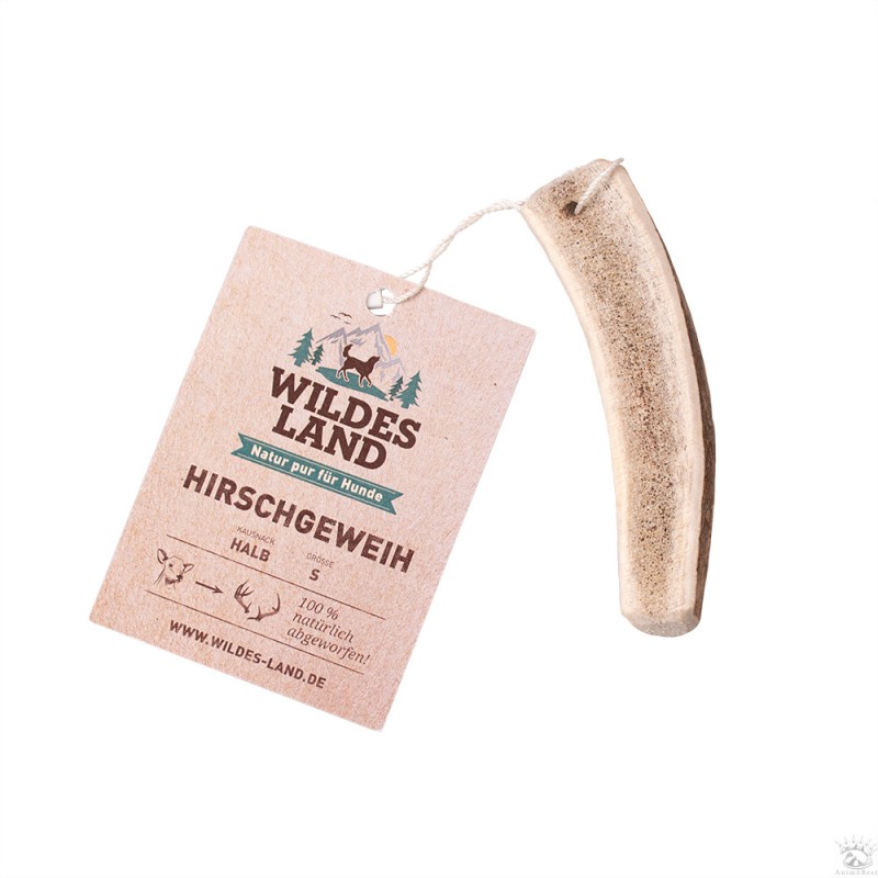 Bois de cerf coupé en deux