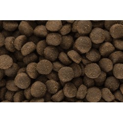 Iso-dog ADULT SPORT 20 kg