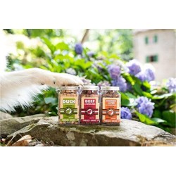 Friandise Lyophilisée Kiwi Friandises lyophilisées à la pomme 35g