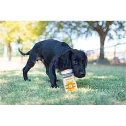 Friandise Lyophilisée KIWI Friandises lyophilisées à la BANANE 70 G