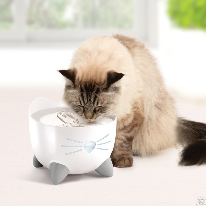 Catit Pixi -Fontaine à eau pour chat en acier inoxydable