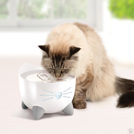 Catit Pixi -Fontaine à eau pour chat en acier inoxydable