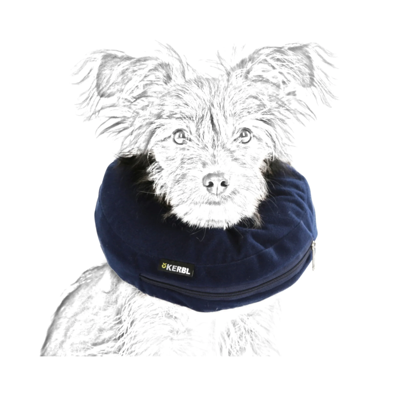 Location de collerette gonflable pour chien